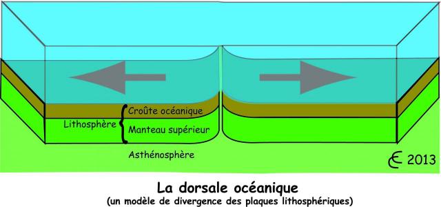 dorsale-oceanique.jpg